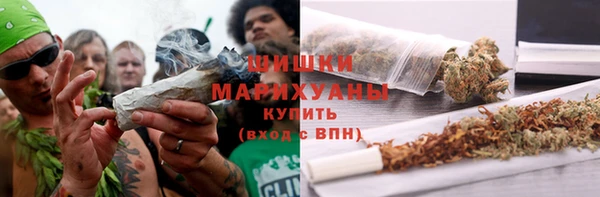 прущие грибы Абдулино