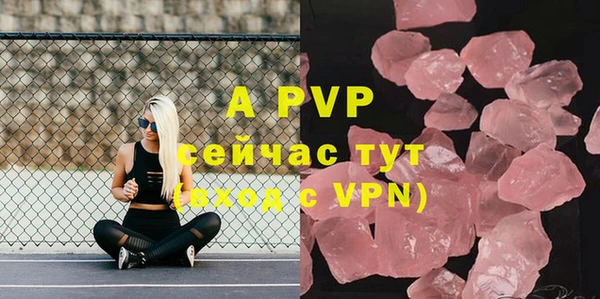 прущие грибы Абдулино