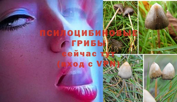 крисы Абинск