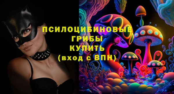 прущие грибы Абдулино