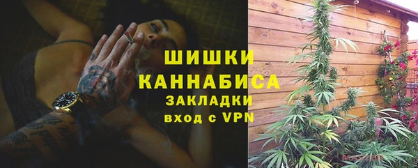 твердый Абаза