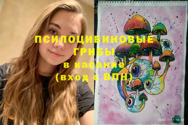 прущие грибы Абдулино