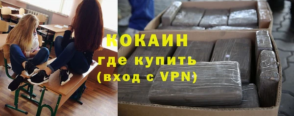 твердый Абаза