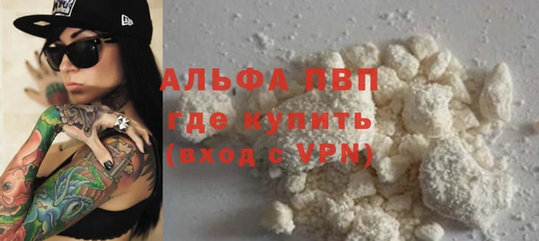 прущие грибы Абдулино