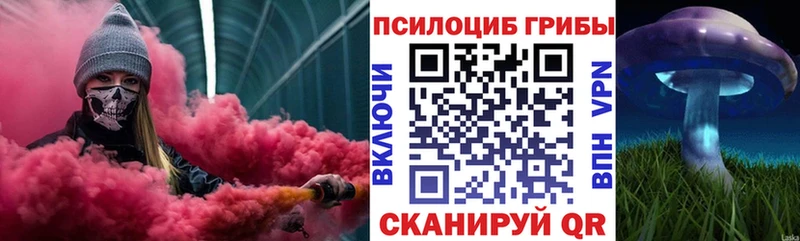 Галлюциногенные грибы Psilocybe  купить наркотики цена  Княгинино 