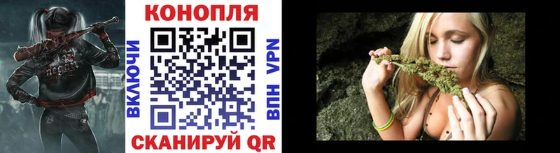 закладка Княгинино Бошки марихуана сатива